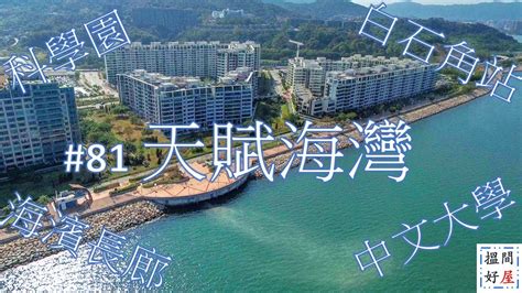 香港白石角|白石角半天遊景點+交通方法：科學園+白石角海濱長。